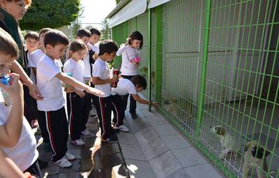       MİNİK ÖĞRENCİLERİN HAYVAN SEVGİSİ